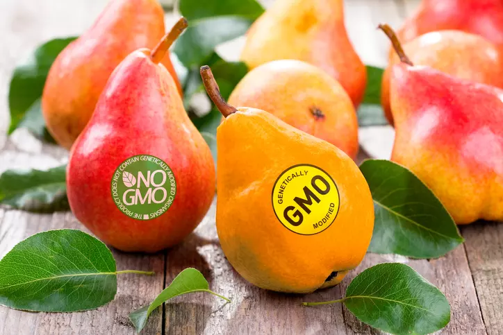 genetically modified vegetables