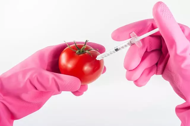 genetically modified vegetables