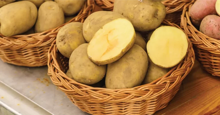 genetically modified vegetables
